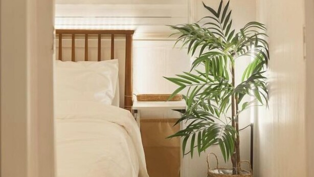 Una camera da letto con un letto di legno, un comodino e una pianta in vaso.