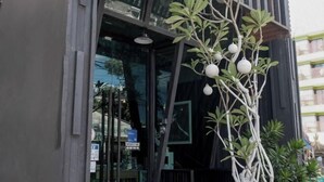 A modern building with a glass entrance and a plant with spherical decorations. - Baanpoon Apartment (Koh Samui)