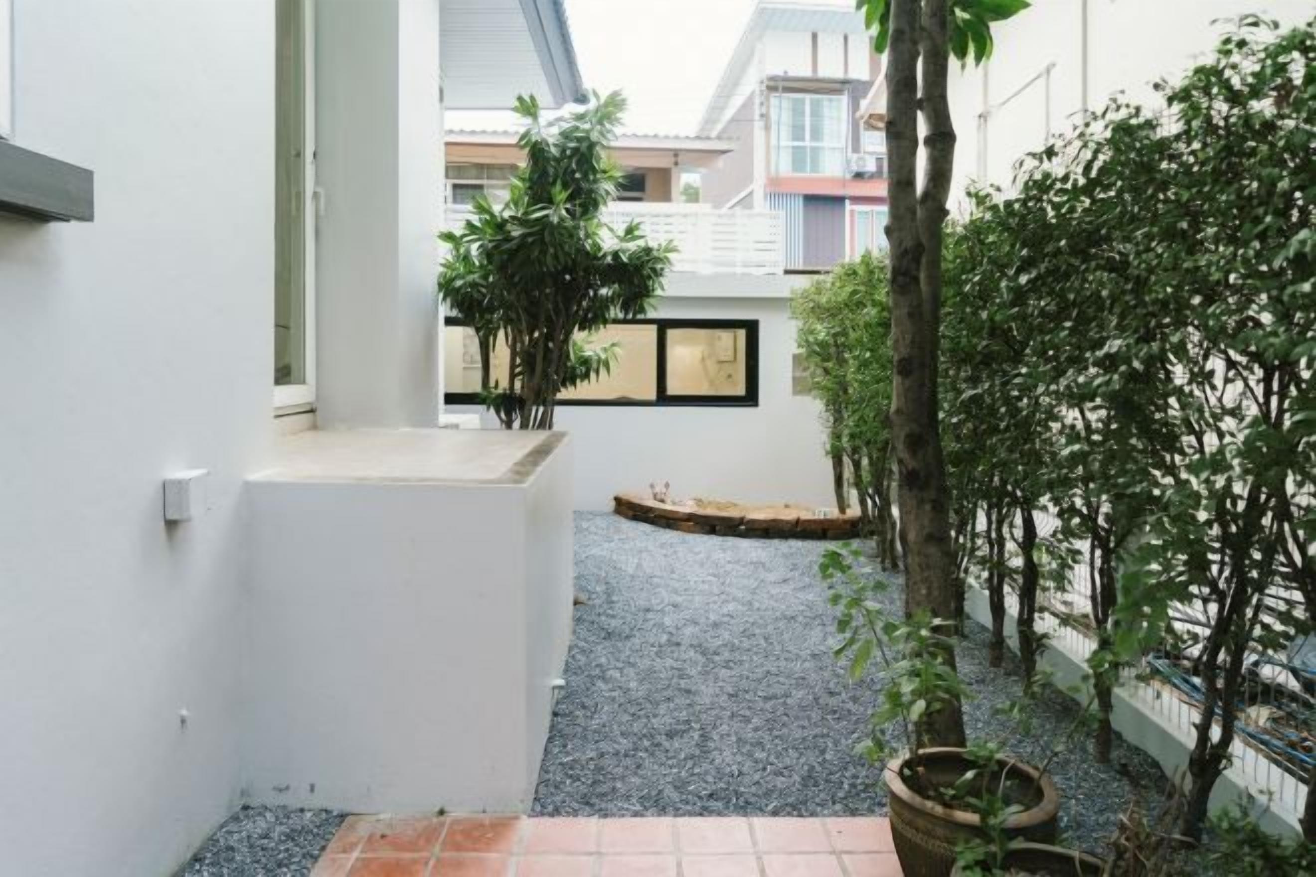 Une cour étroite avec un chemin de gravier, des plantes en pot et un petit arbre.