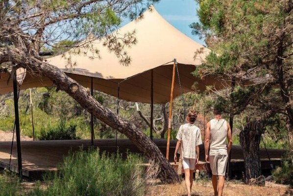 Áreas de la propiedad