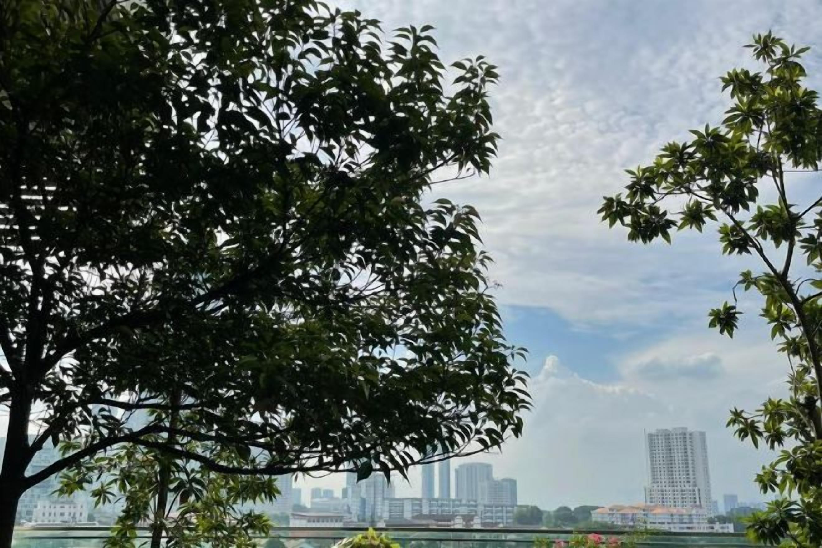 View from property