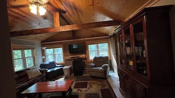 Smart-tv, eldstad, dvd-spelare och böcker