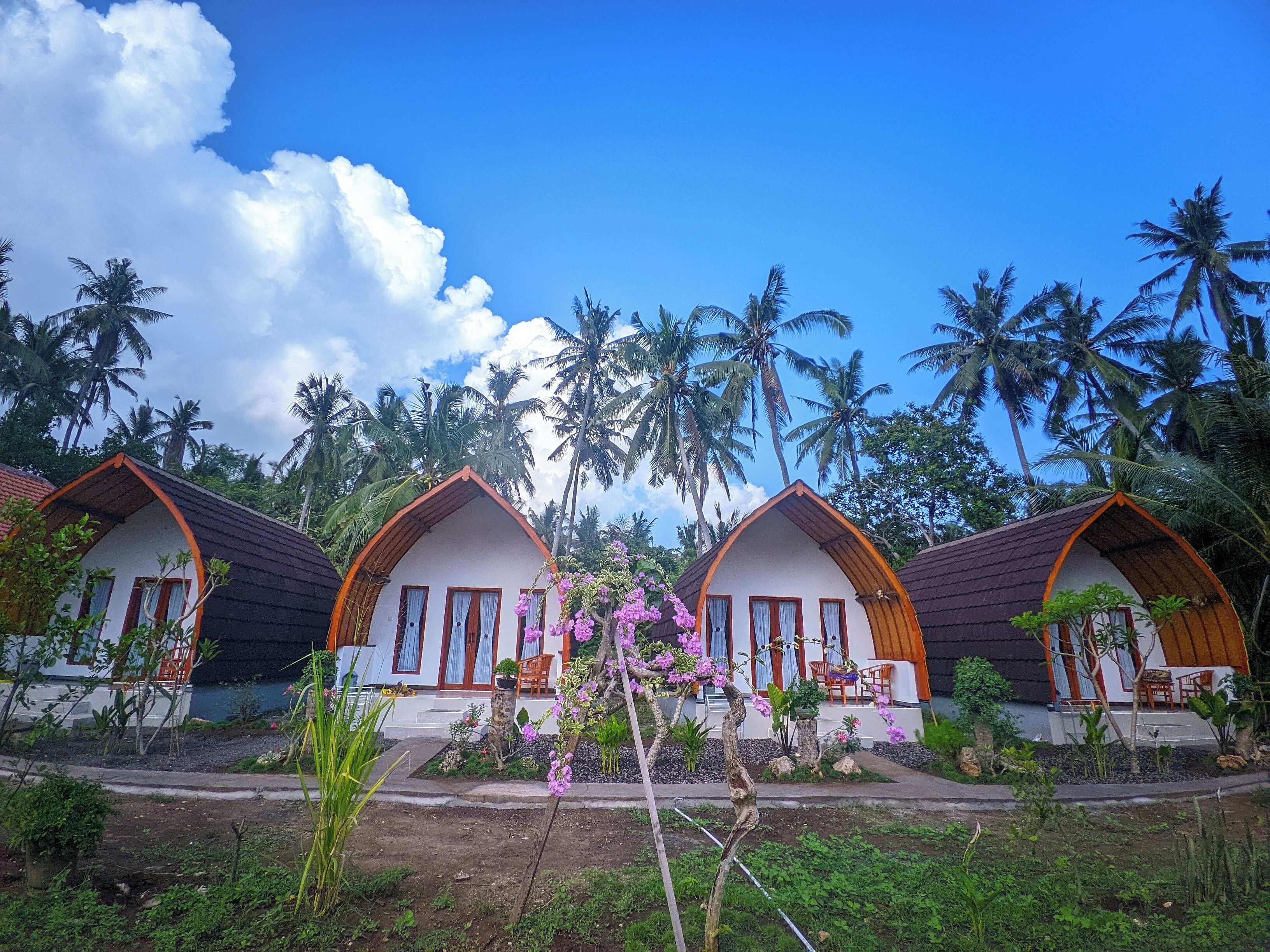 واجهة المنشأة