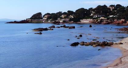 Chambre d'hÎtes 'Jungle' avec piscine partagée, Wi-Fi et climatisation