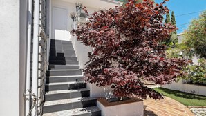 A staircase with patterned tiles, a white wall, and a potted tree with red leaves. - 'Jungle' Guest Room with Shared Pool, Wi-Fi, and Air Conditioning (Saint-Raphaël)