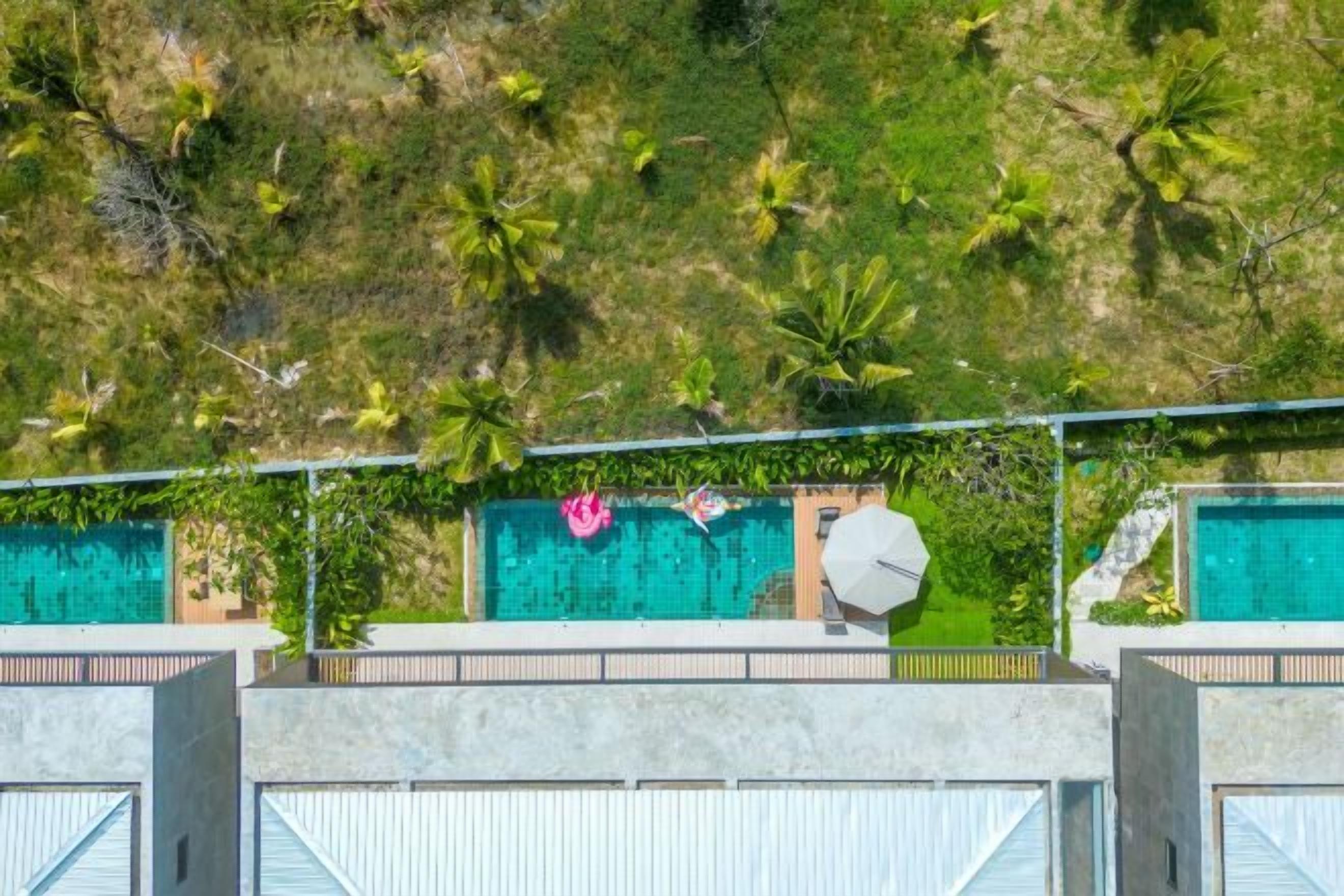 A swimming pool with a view of a grassy area and palm trees.