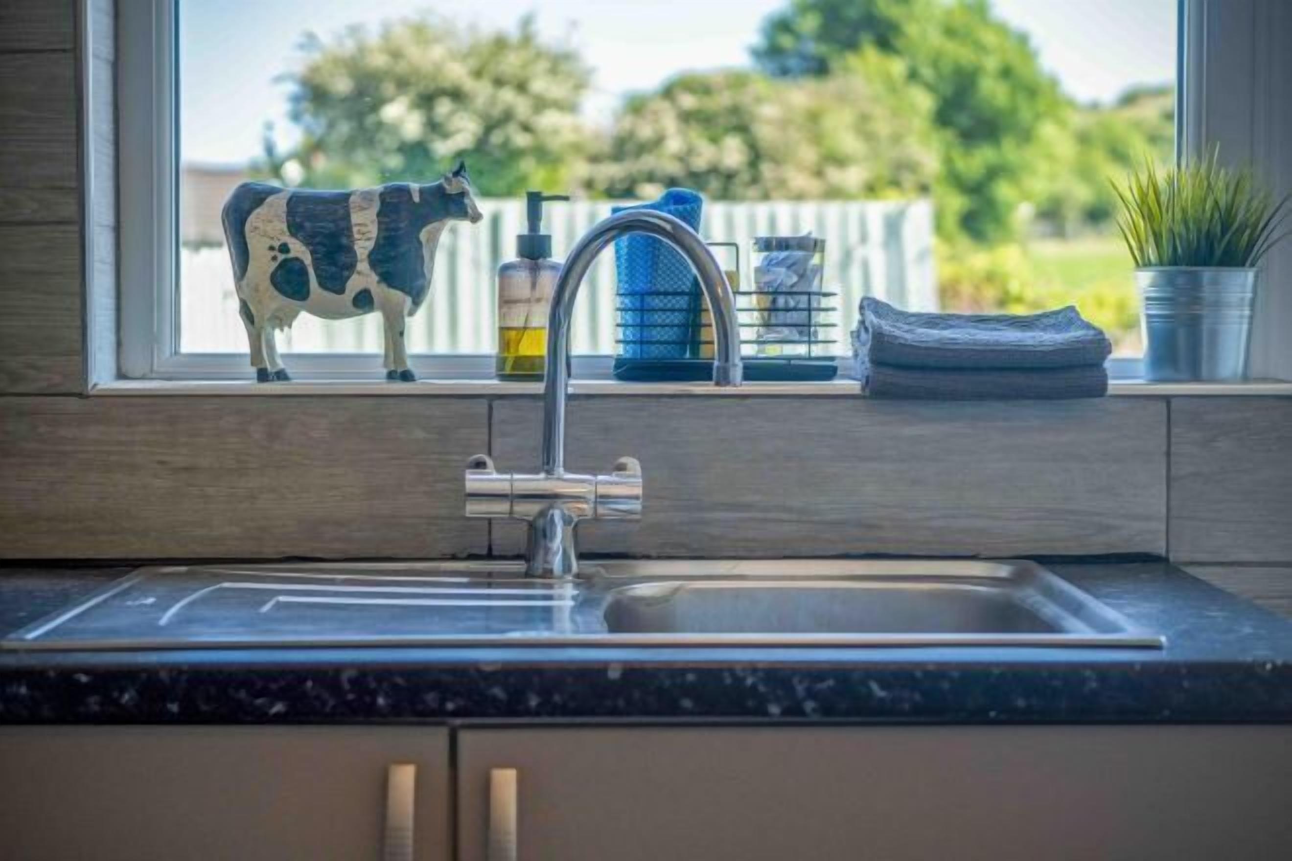 A kitchen with a window view, a sink, a soap dispenser, and a small potted plant.