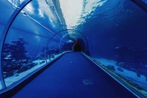 Miscellaneous - Royal Park Resort Studio 56 (Eilat)