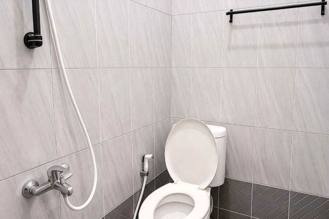 A modern bathroom with a white toilet, a handheld showerhead, and a grab bar.