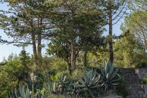 Piscina al aire libre