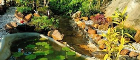 Jardines del alojamiento