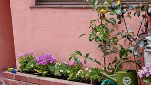 Una jardinera de ladrillo con diversas plantas y flores, un regador verde y una ventana con cortina.