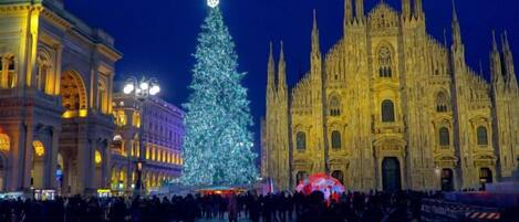 A large illuminated Christmas tree in front of a historic cathedral with a crowd of people.