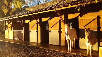 Enceinte de lâhĂ©bergement