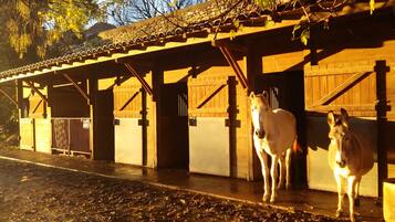 Enceinte de lâhĂ©bergement