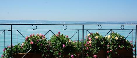 Àrea exterior de l'allotjament