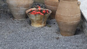 Three large terracotta pots on a balcony with a gravel floor, overlooking a vineyard. - Amvikas Suites in Sitia (Sitia)