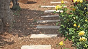 A garden pathway with stepping stones, surrounded by trees and yellow roses. - Amvikas Suites in Sitia (Sitia)