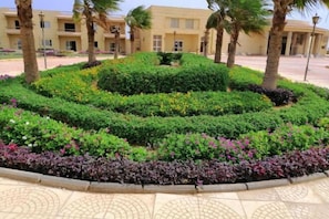 Room - Regina Beach Resort El Sokhna (Ataqah)