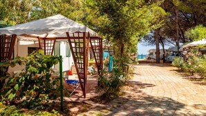 Un espace extérieur abrité, doté d’un chemin pavé, et entouré d’arbres et de verdure.