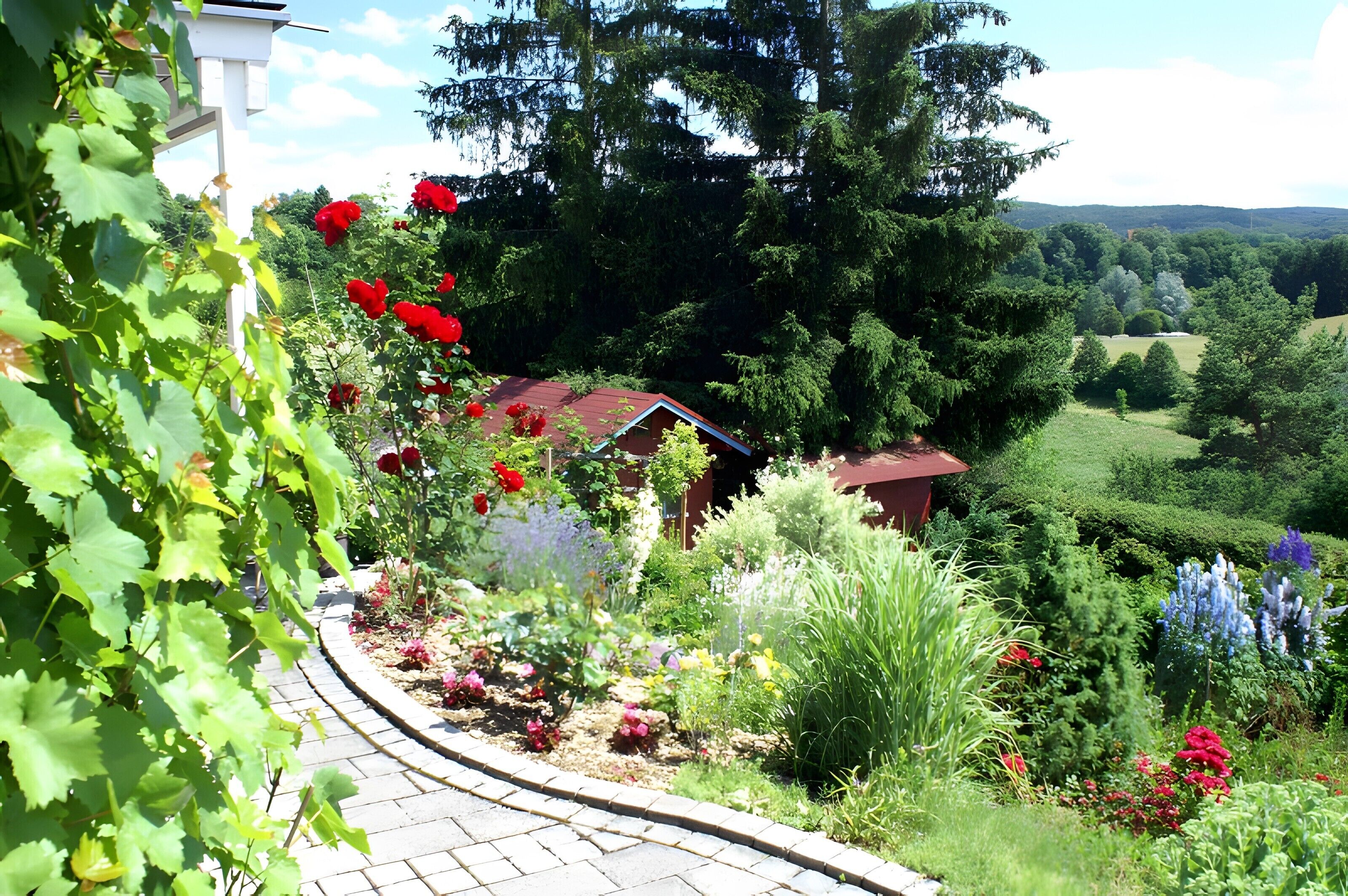 Enceinte de l’hébergement
