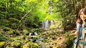 Unclassified image, 4 of 11, button - Log House Nasu High Grand (Nasu)