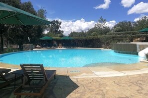 Una piscina con sillones de descanso y sombrillas, rodeada de árboles y un cielo despejado.