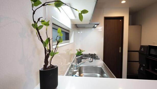 Una cocina moderna con un lavamanos integrado, una planta en maceta y un ventanal.