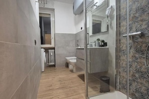 Shower, hair dryer, bidet, towels