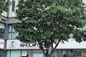 Ein Baum vor einem Gebäude mit einem Schild, auf dem 'SIMULATICS' steht.