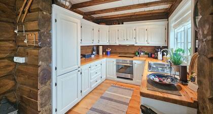 Cozy home in Rauland with WiFi