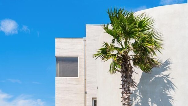 Un edificio moderno con fachada blanca y una palmera frente a él.