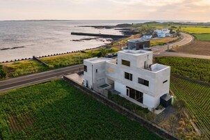 Un edificio moderno de color blanco con techo plano, situado cerca de una masa de agua y una carretera.