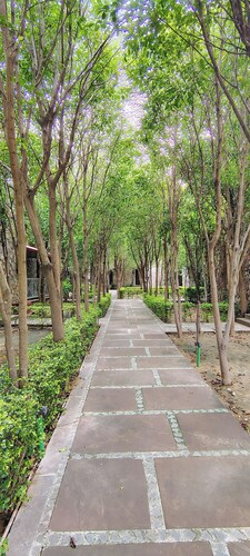 Tiger Kingdom, Ranthambore- A Club Mahindra Associate Resort