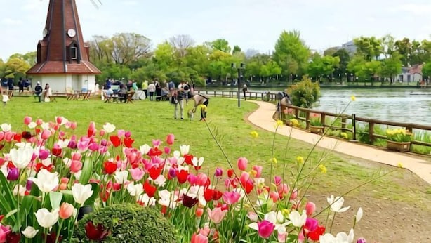 A park with a windmill, a lake, and tulips. - sakuranoyado2 (Tokyo)