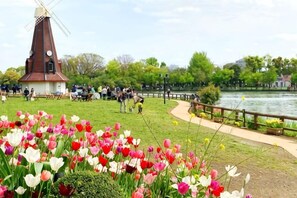 Ein Park mit Windmühle, einem See und Tulpen.