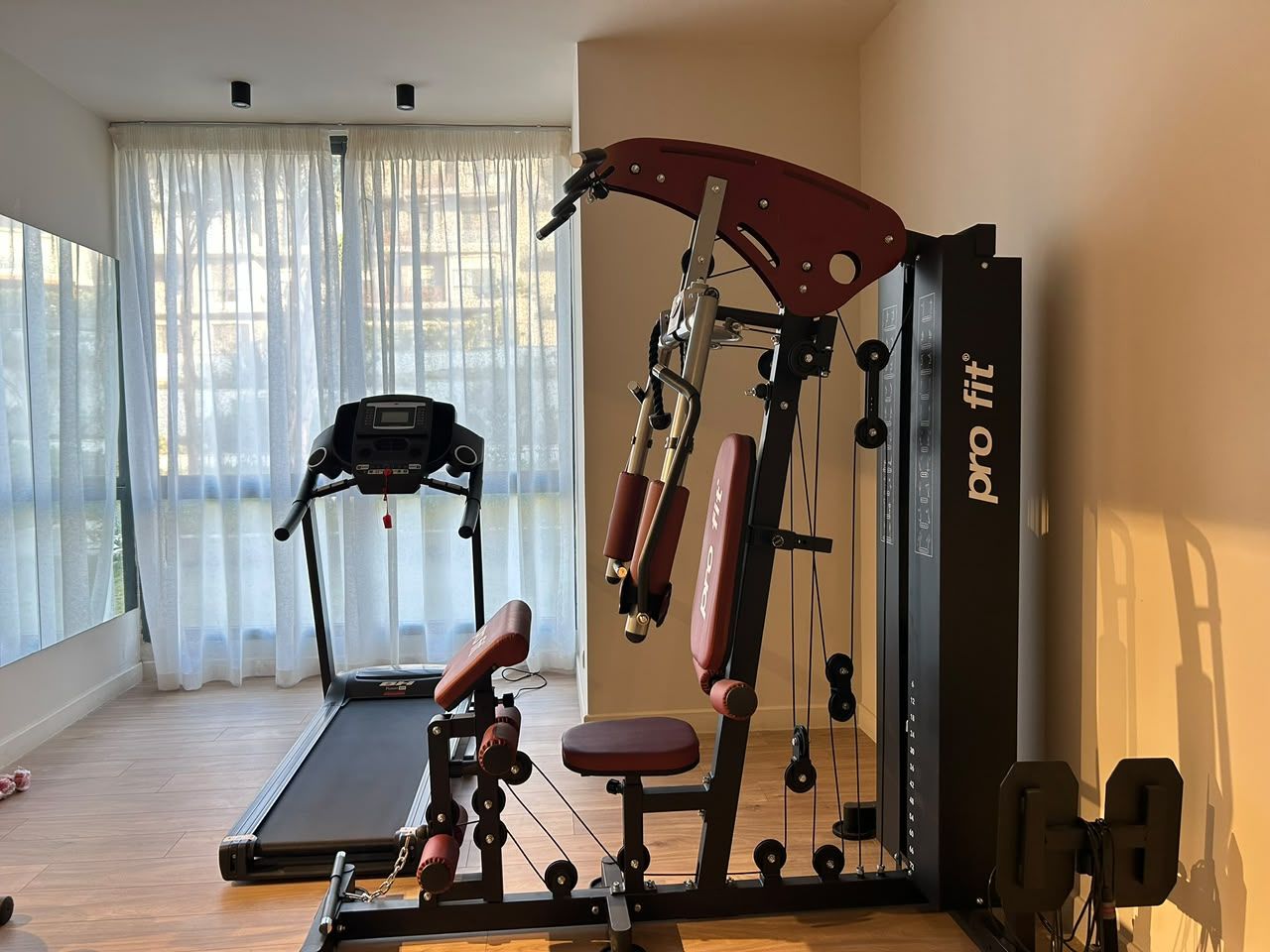 A home gym with a treadmill, a chest press machine, and a squat rack.