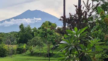 Un paisaje exuberante con una montaña al fondo, rodeado de vegetación densa.