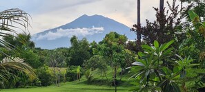 A lush landscape with a mountain in the background, surrounded by dense greenery. - Palm Springs Bali Dive Resorts (Tulamben)
