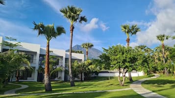 Un edificio moderno con un camino, palmeras y una montaña al fondo.