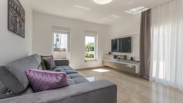 TV, fireplace, table tennis