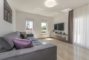 TV, fireplace, table tennis