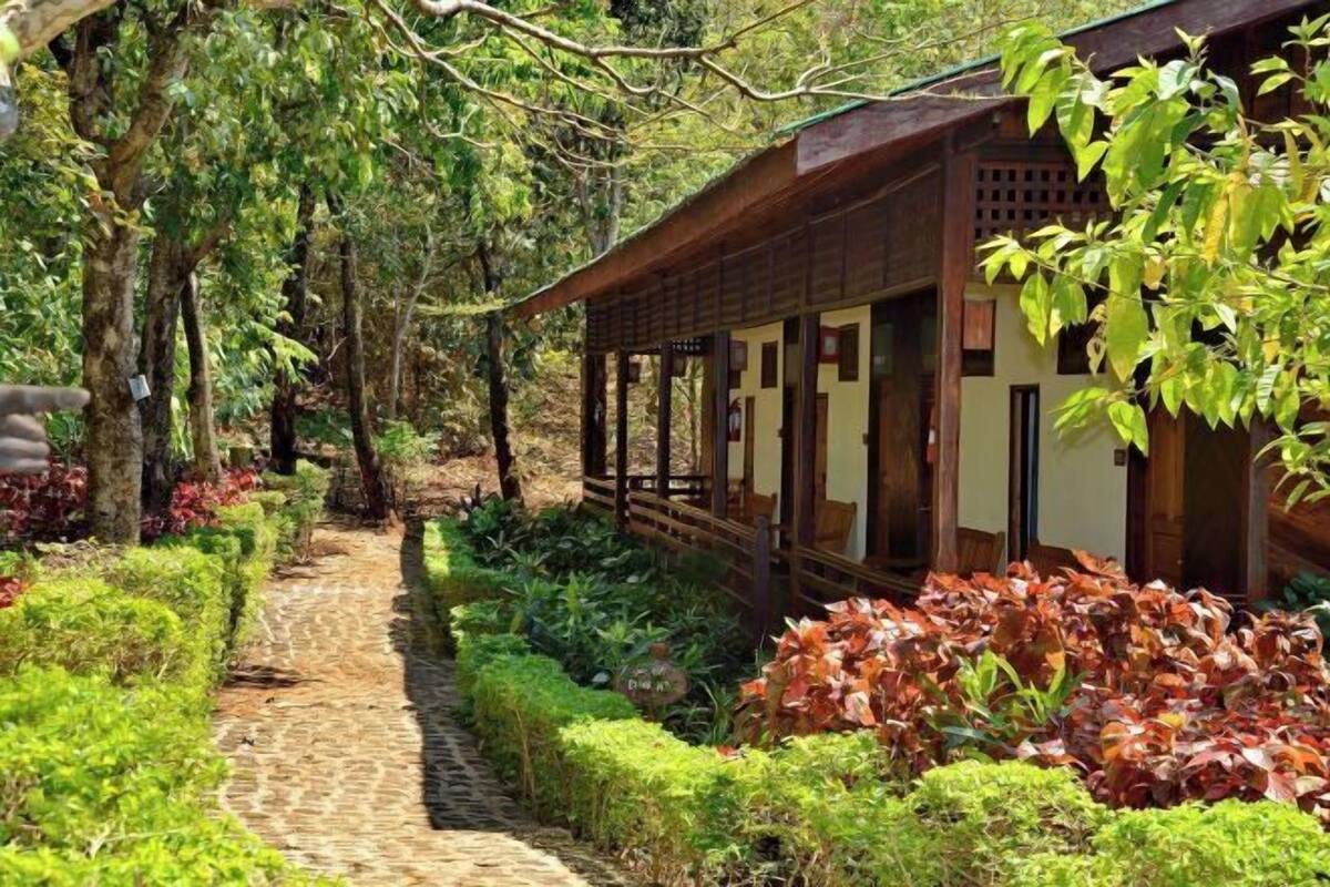 A traditional wooden building with a covered walkway, surrounded by lush greenery and a stone path.