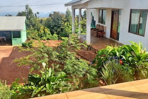 Ruhija Gorilla Guest house