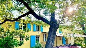 Un bâtiment jaune avec des volets bleus, un grand arbre devant et un espace extérieur abrité avec des sièges.