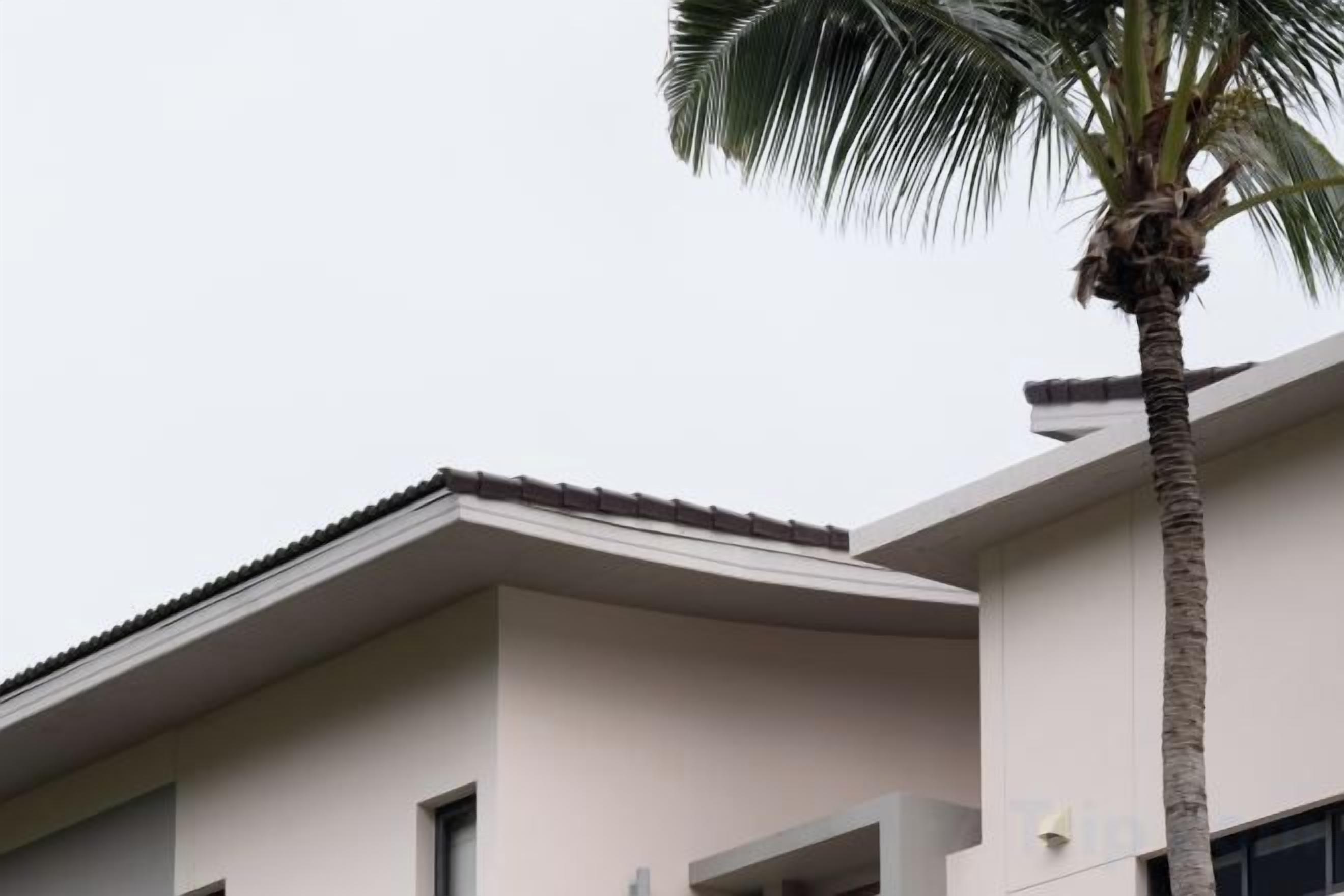 A modern building with a flat roof and a palm tree in front.