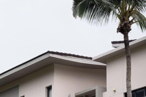 A modern building with a flat roof and a palm tree in front. - THE PURE BANGPOR (Koh Samui)