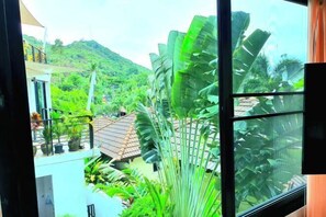 Vista desde la propiedad