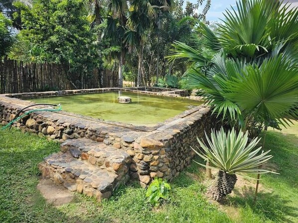 Hồ bơi ngoài trời 