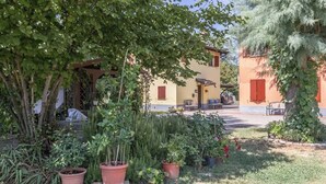 Une cour agrémentée de plantes en pot, un espace de repos abrité et un bâtiment aux volets rouges.